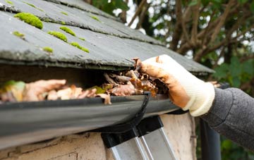 gutter cleaning Stafford Park, Shropshire
