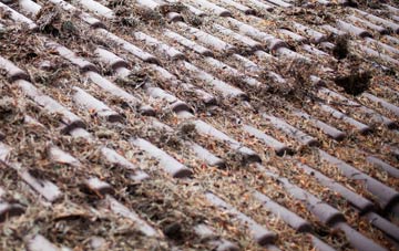 Stafford Park roof cleaning companies