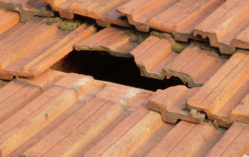 roof repair Stafford Park, Shropshire
